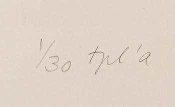 Inari Krohn, Utan titel.