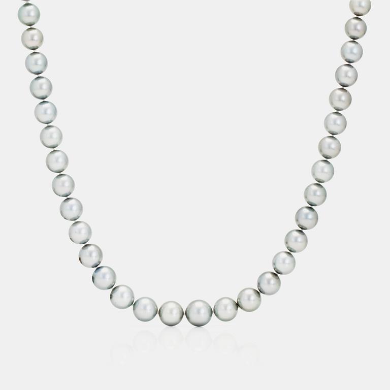 A cultured tahiti pearl necklace.