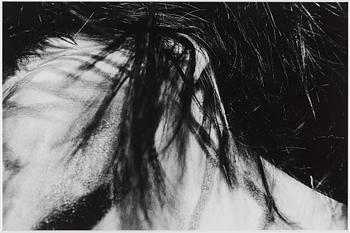 EVA KLASSON, Gelatin silver print, signed Eva Klasson and dated 2010 on verso.