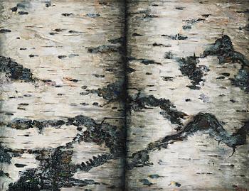 504. Philip von Schantz, Birch trunks.