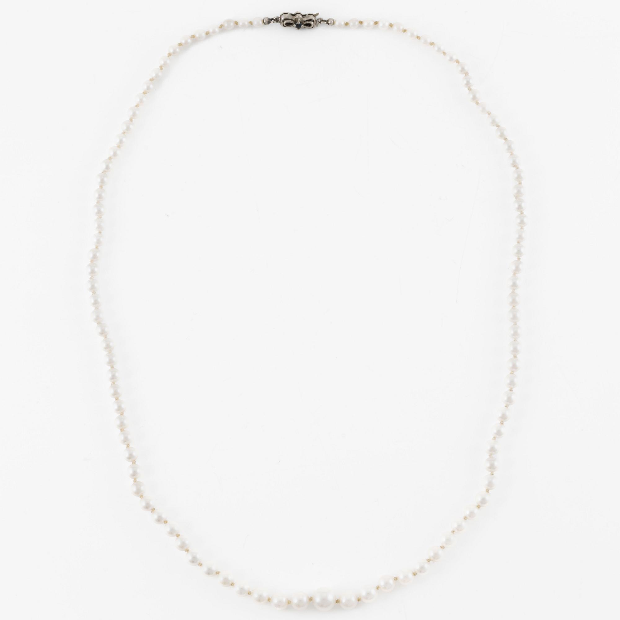 Collier med doserade pärlor, lås silver med små safirer.