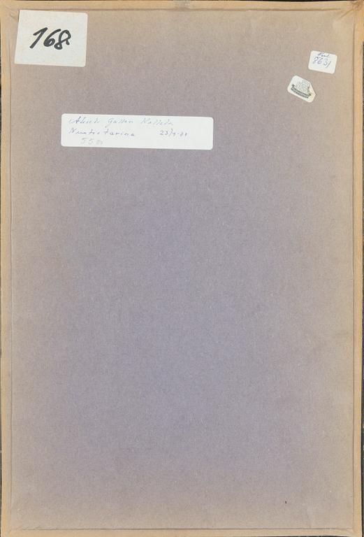 Akseli Gallen-Kallela, Nuotiotarina (från Sju bröder).