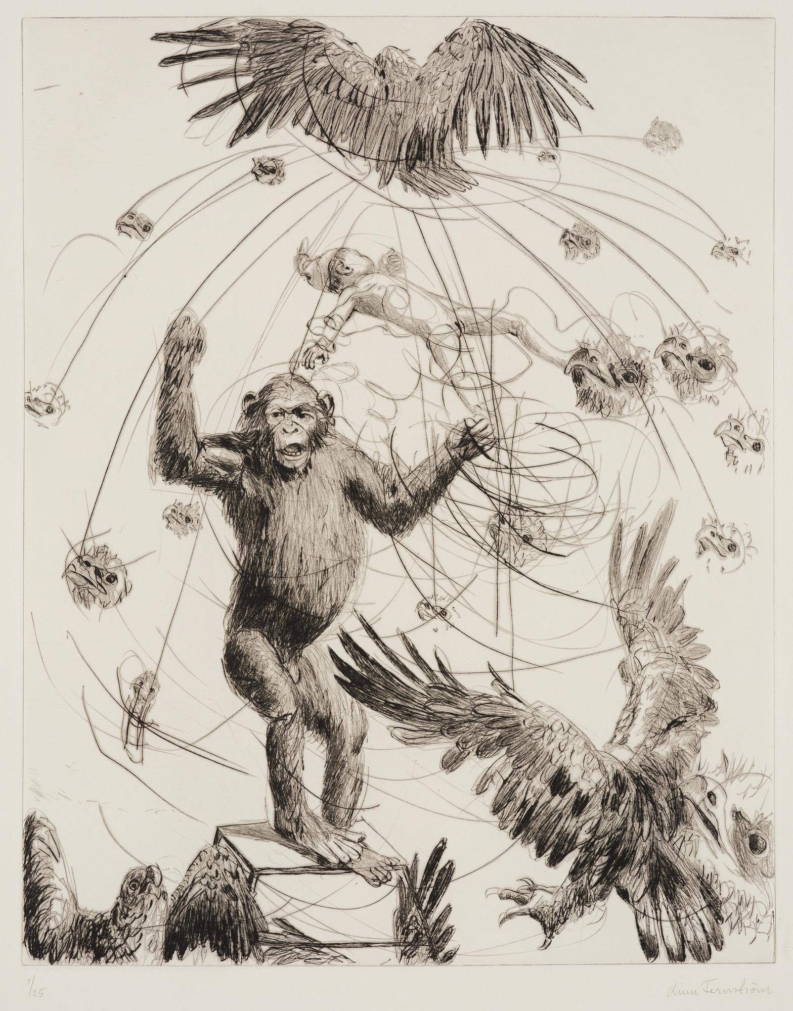 Linn Fernström, "Apursinne".