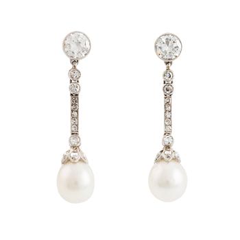 476. A pair of platinum pearl earings.