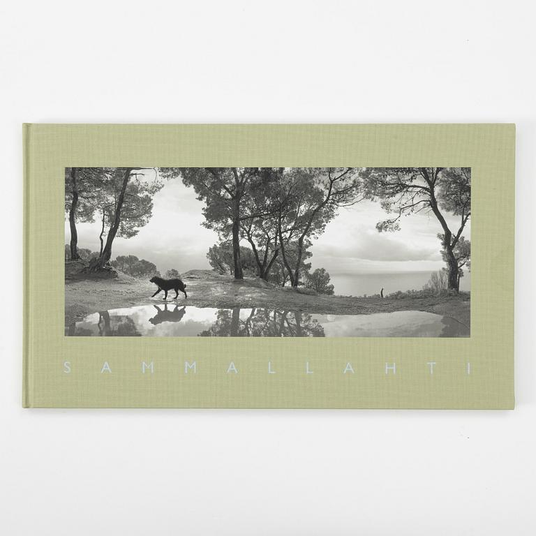 Pentti Sammallahti, "Sammallahti".