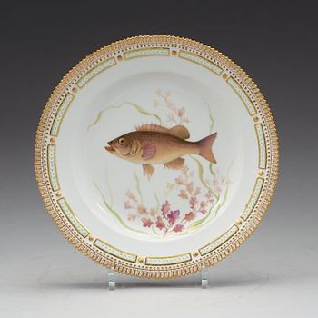 TALLRIKAR, sex stycken, porslin. "Fauna Danica", Kunglig Dansk, 1900-tal.