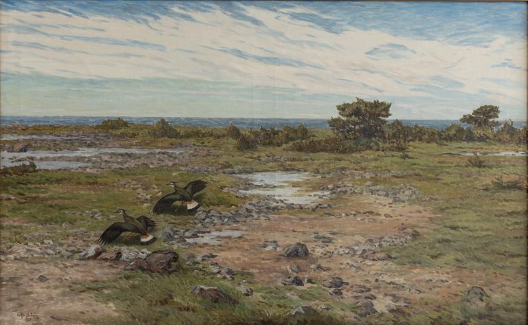 Rolf Mellström, Coastal Landscape with Birds.
