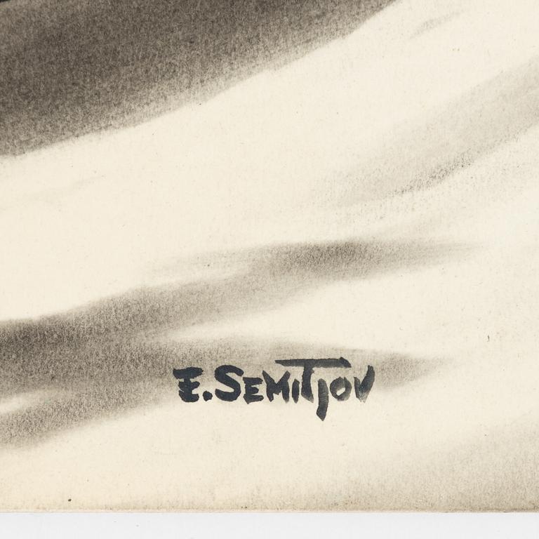 Eugen Semitjov, Flight Expedition.