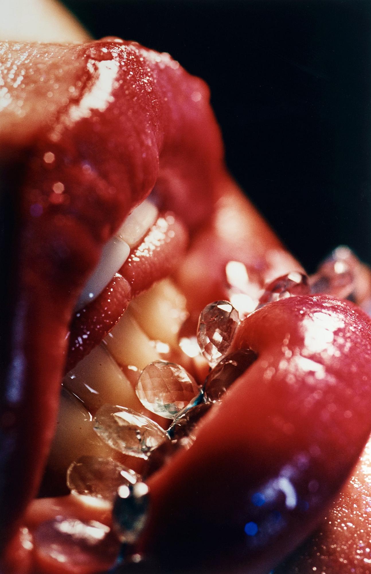 Marilyn Minter, "Bridle", 2004.