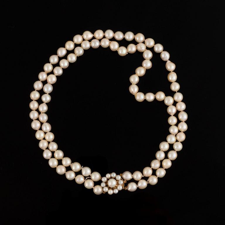 A two strand cultured pearl necklace.