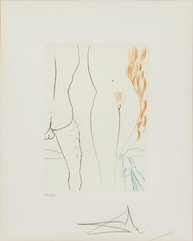 Salvador Dalí, “Le diable en Enfer” from “Le Décameron”.