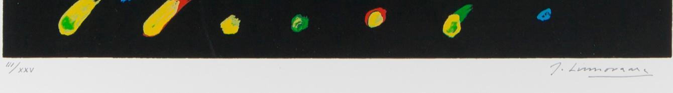 JUHANI LINNOVAARA, serigrafi, signerad, numererad III/XXV.