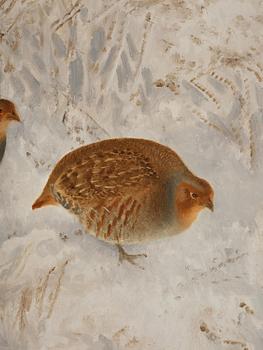 Bruno Liljefors, Grouse in snow.