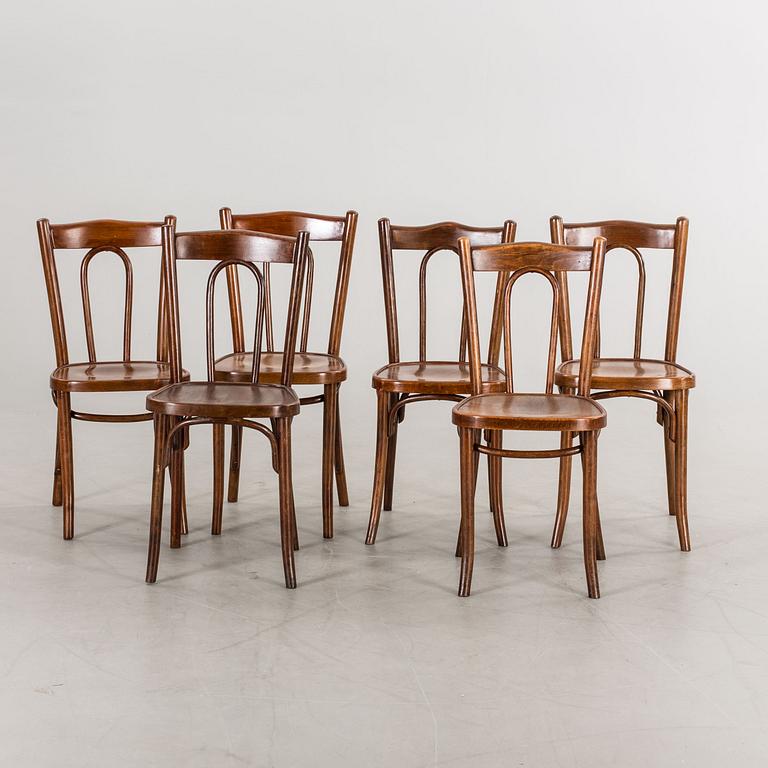 STOLAR, 6 st, thonet-typ 1900-tal.