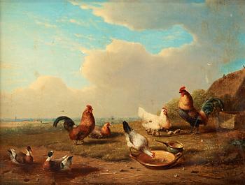 264. Francois Vanderverdonck, Landskap med hönsfåglar och änder.
