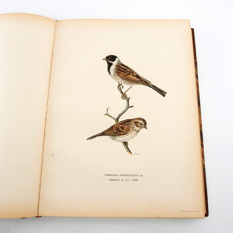 Bröderna von Wright, bokverk, 3 vol "Svenska fåglar", A. Börtzells tryckeri AB, Stockholm, 1927-1929.