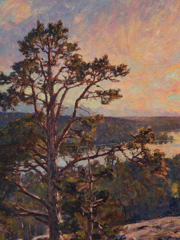 Gottfrid Kallstenius, Motif from Järlasjön.