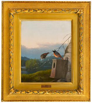 88. Ferdinand von Wright, REDSTARTS AT THE NEST.