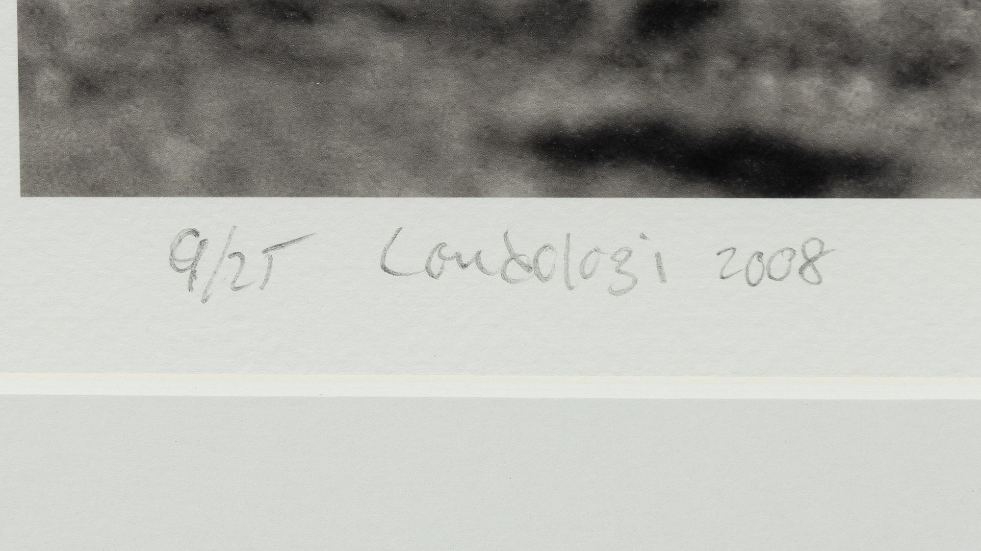 Håkan Ludwigson, "Londolozi", 2008.