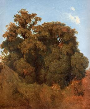 Joseph Magnus Stäck, Studie av träd, Arricia.