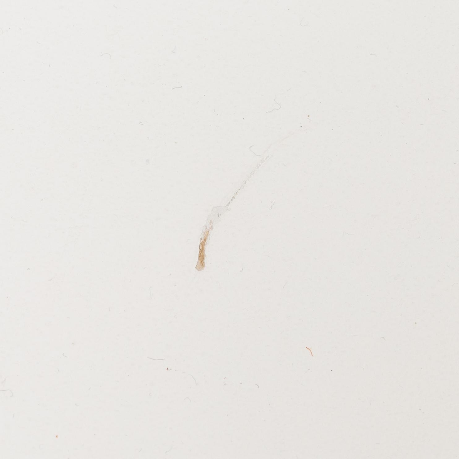 Arne Jacobsen, karmstolar, 4 st, "Sjuan", Fritz Hansen, Danmark, 2002.