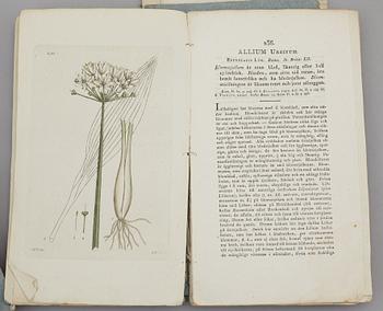 JOHAN WILHELM PALMSTRUCH, "Svensk Botanik, vol I-V. 1803-1805.