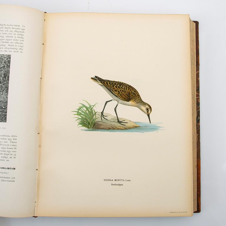 The Wright Brothers, book work, 3 volumes, "Swedish Birds", A. Börtzells tryckeri AB, Ivar Baarsen, Stockholm, 1924-1929.