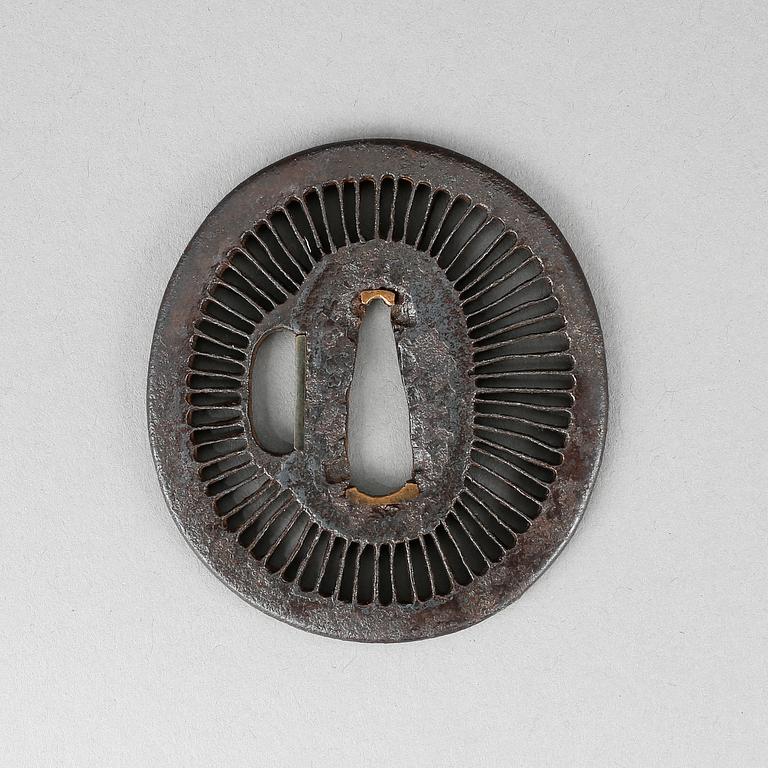 TSUBA, järn, Saotomeskolan, Japan, 1600/1700-tal.