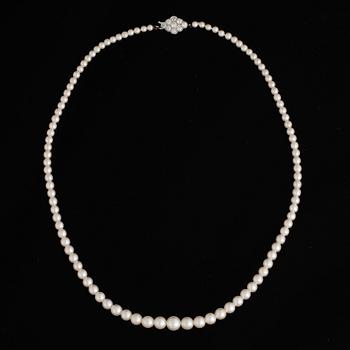 Pearl necklace, clasp platinum and old cut diamond.