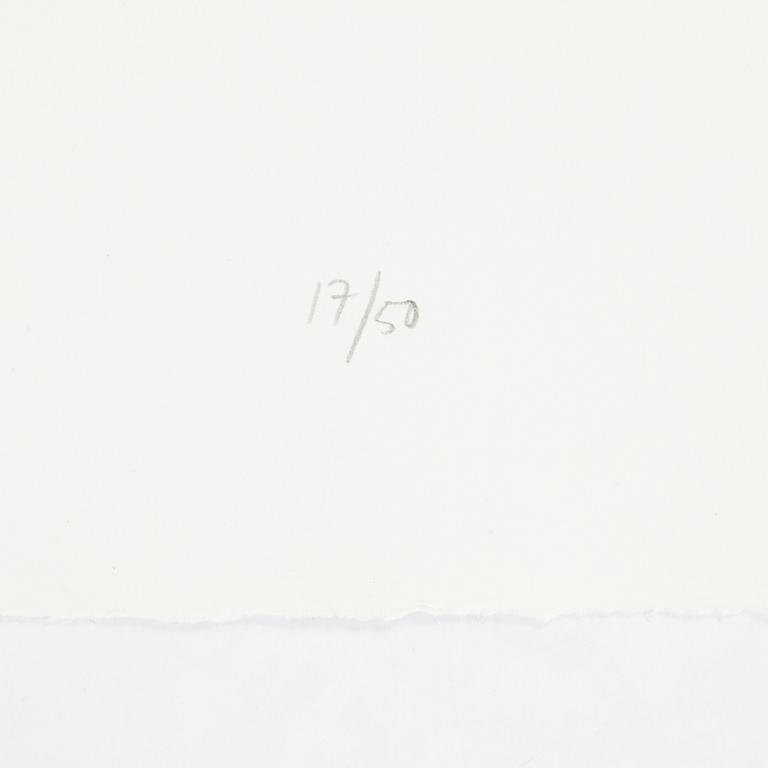 Jan Håfström, etching in colours, 2020, signed 17/50.
