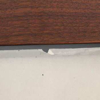 Denise Grünstein, "Out of focus camels" 1999.