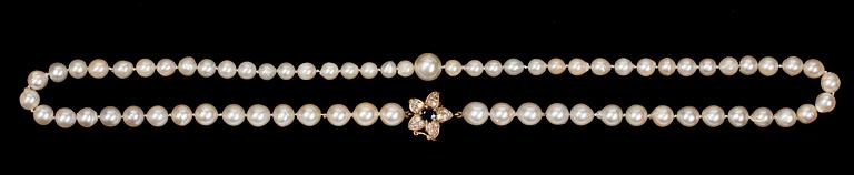 COLLIER, pärlor med lås i 18 K guld med safir och briljantslipade diamanter.