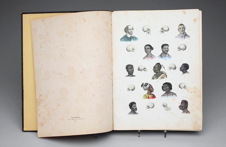 BOK, "Atlas till Djurrikets Naturalhistoria..." av Traugott Bromme, Stockholm 1865.