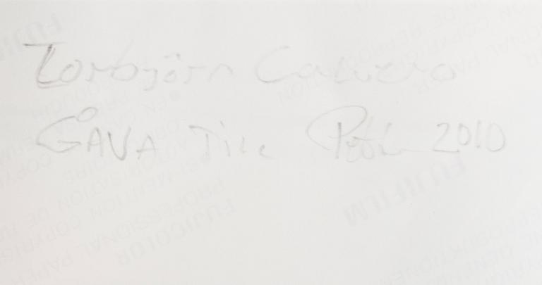 TORBJÖRN CALVERO, photograph of Emmylou Harris signed Calvero on verso.