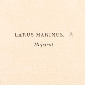 LITOGRAFIER, 4 st, efter von Wright, Magnus, Wilhelm & Ferdinand & Hallberg, Bror. A. Börtzell, Stockholm.