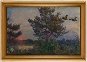 Bruno Liljefors, Spring night with lifting ducks.