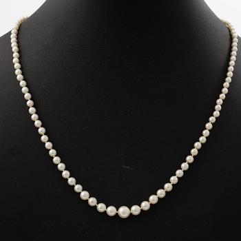 Pärlcollier, doserade odlade pärlor, med lås i 18K guld med små diamanter.