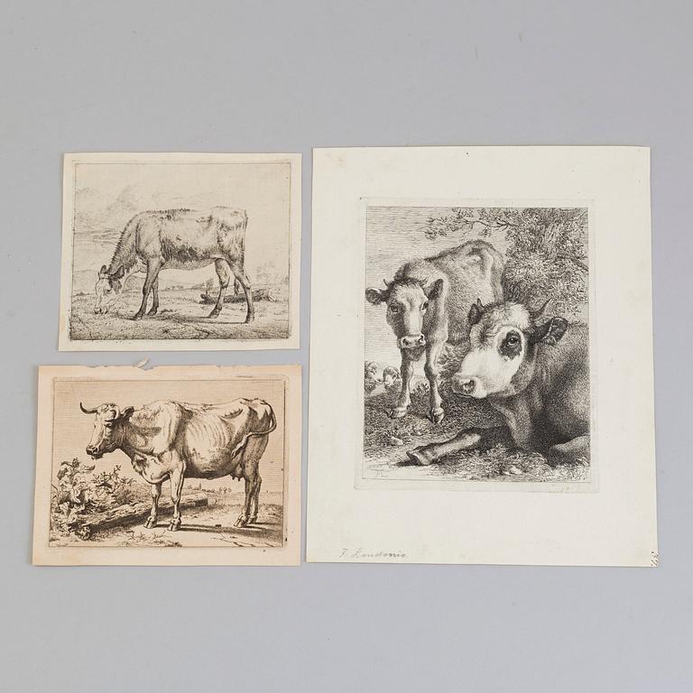 5 engravings, 18th century, amongst others C P Berghem and van der Velde.