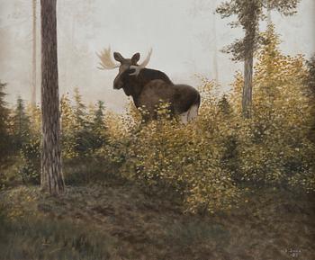 Lennart Sand, Moose in an Autumn Landscape.