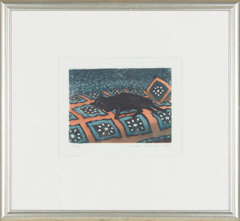 Inari Krohn, Black cat.