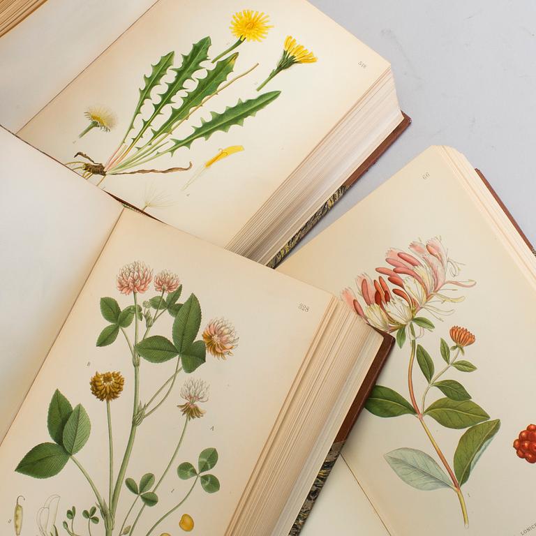 BÖCKER: Bilder ur Nordens Flora, C A M Lindman, Wahlström & Widstrand 1922-26, 3 volymer.