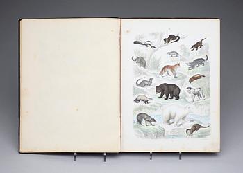 BOK, "Atlas till Djurrikets Naturalhistoria..." av Traugott Bromme, Stockholm 1865.