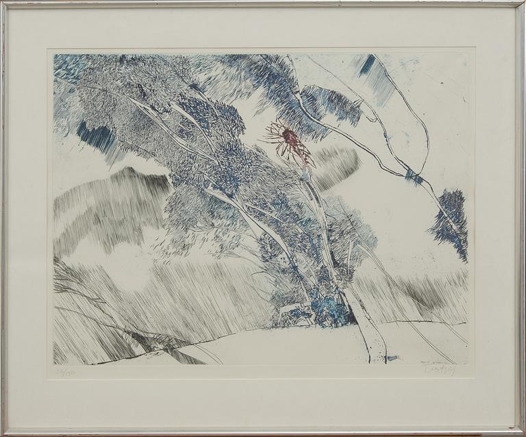 ULF TROTZIG, färgetsning, signerad o numrerad 26/150.