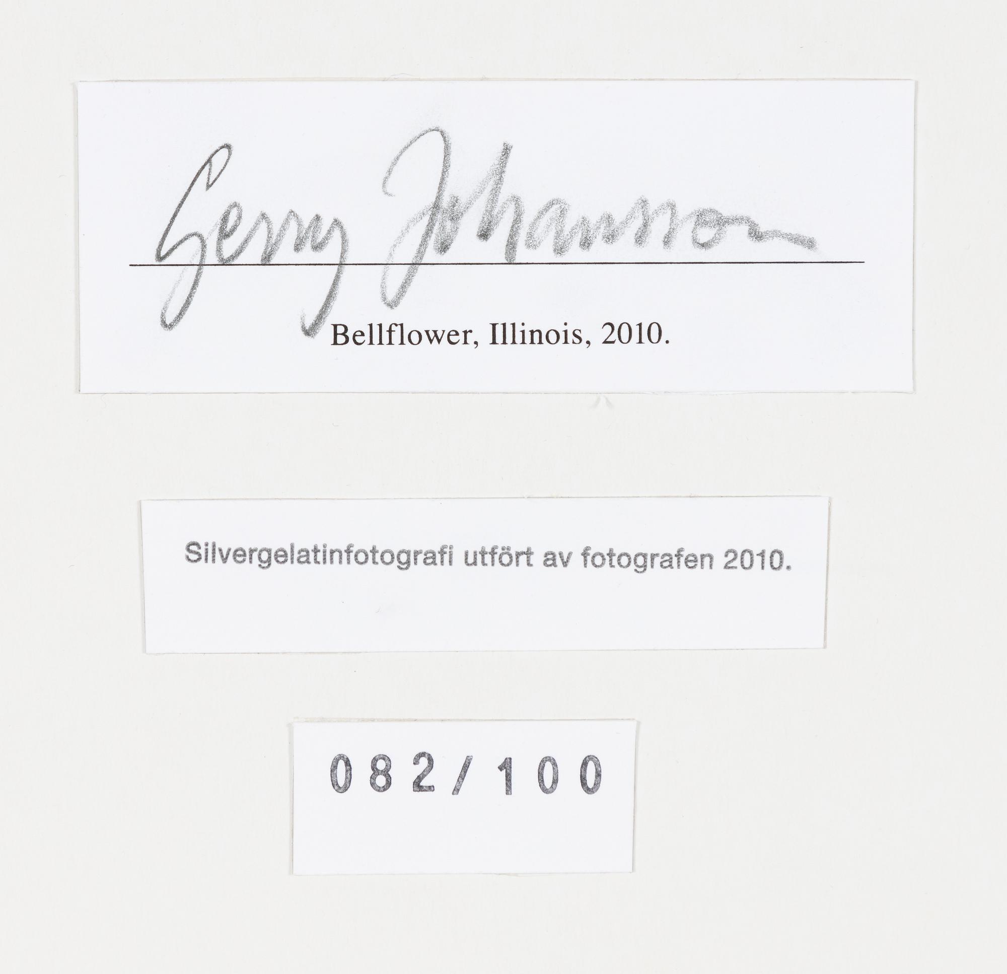 Gerry Johansson, "Bellflower, Illinois, 2010" from Double Elvis Edition, 2011.