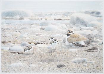 Lars Jonsson, portfolio "Strandspeglingar" with 5 lithographs in colour, signed EA XIV/XL.