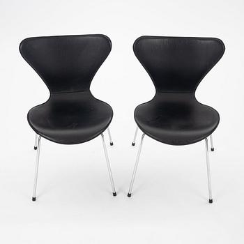 Arne Jacobsen, stolar, 6 st, "Sjuan", Fritz Hansen", Danmark.