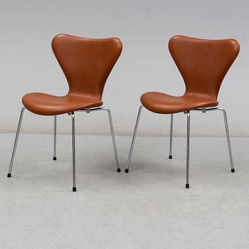 ARNE JACOBSEN, stolar, "Sjuan", 6 st, Fritz Hansen, Danmark.