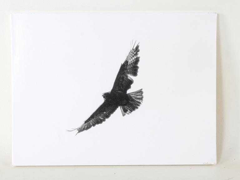 ARNE SCHMITZ, fotografi, sign o dat 73.