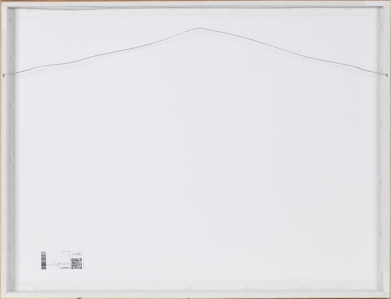 Carl Johan De Geer, pigment print, signed 1/20.