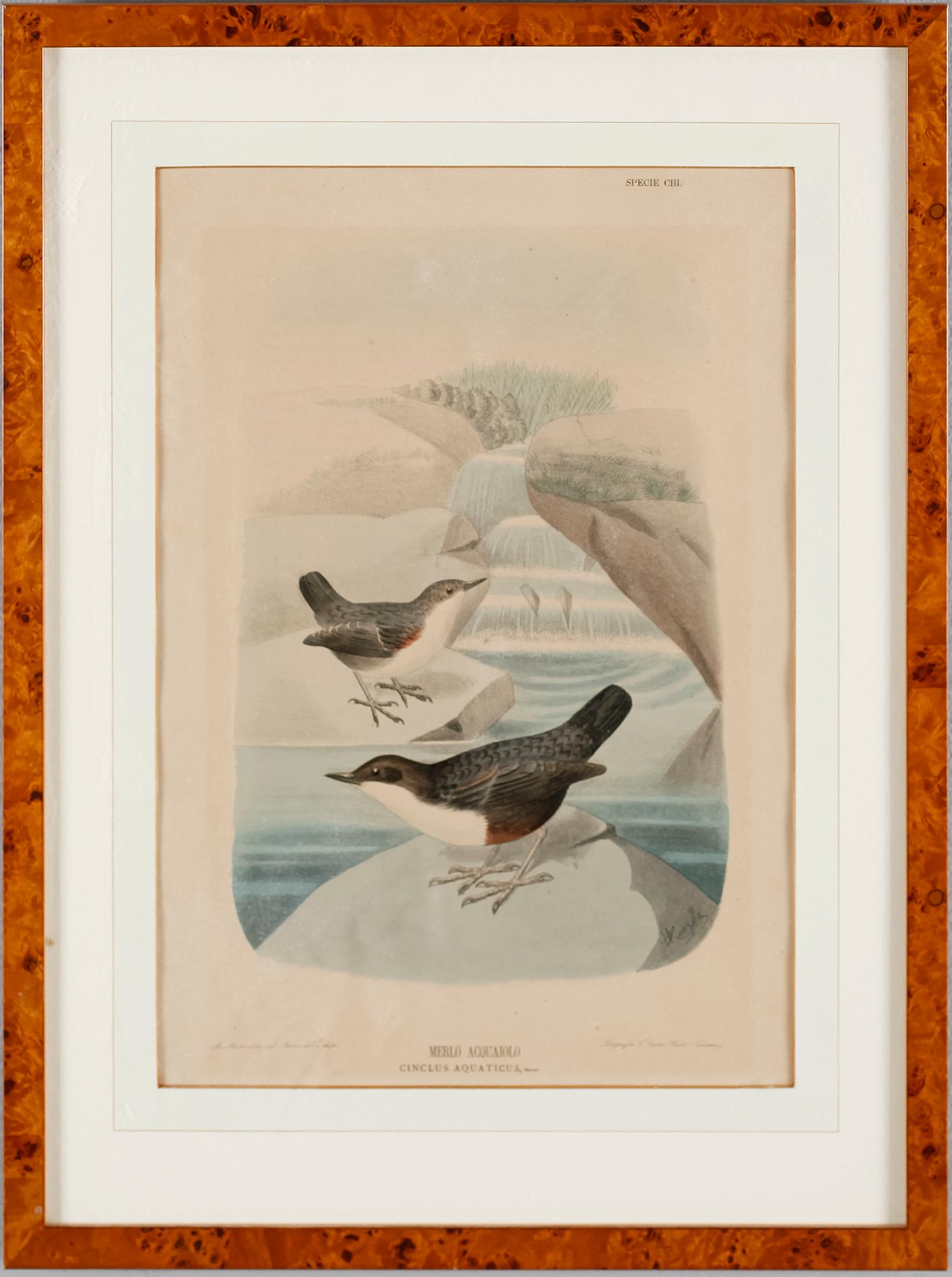 LITOGRAFISKA TRYCK, 4 st, 1900-talets första hälft.